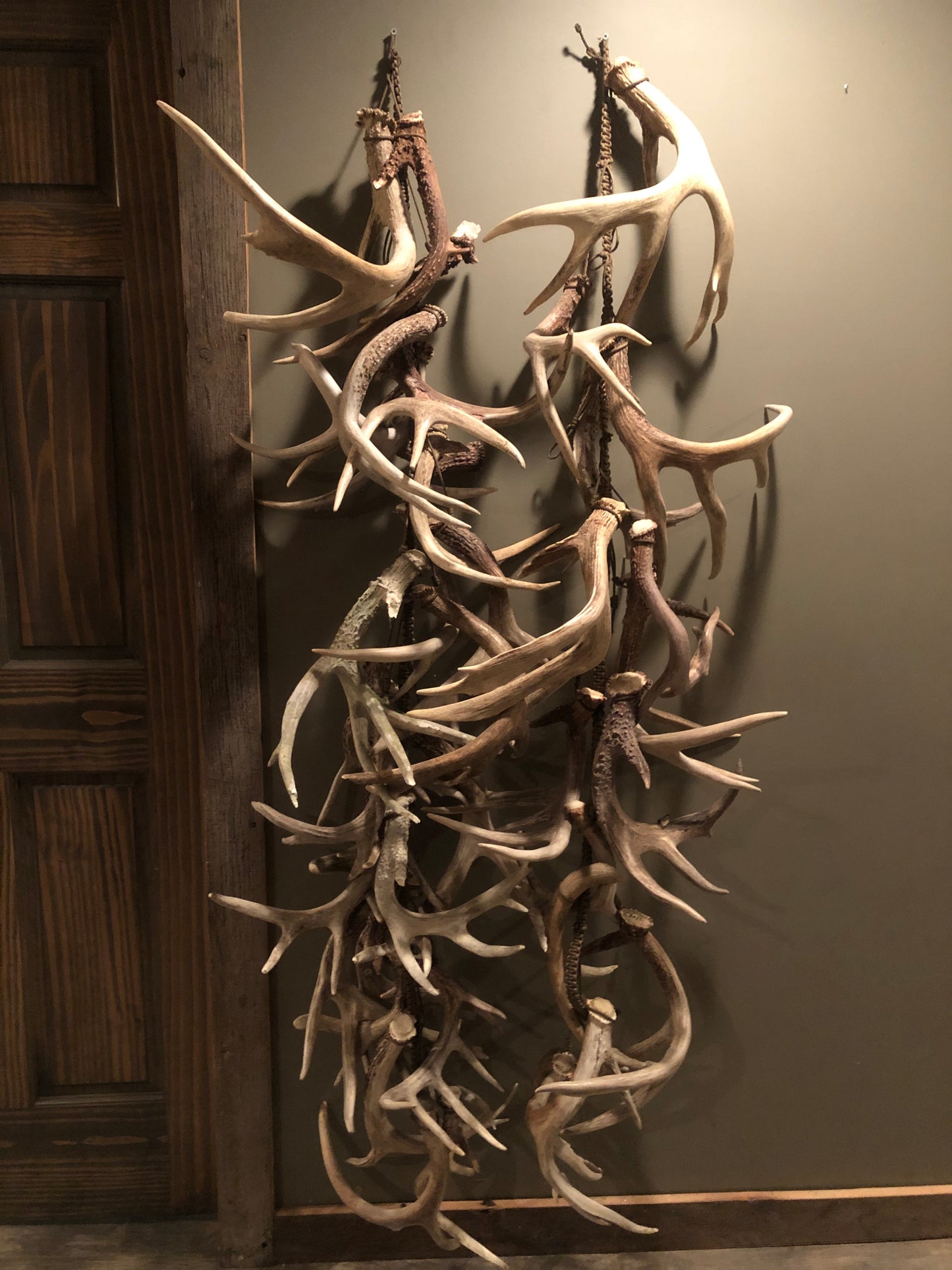 Antler Decor (per foot)