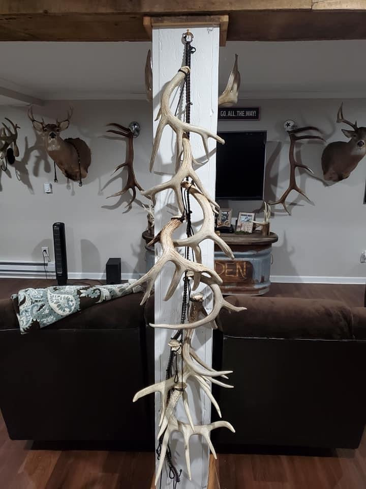 Antler Decor (per foot)